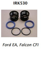 Injector Seal Kit Falcon CFI - 2 Pack